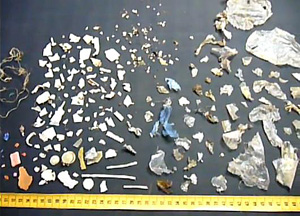 More than 300 pieces of plastic ingested by a sea turtle as documented by Australian Seabird Rescue, Ballina, in Northern NSW of Australia
