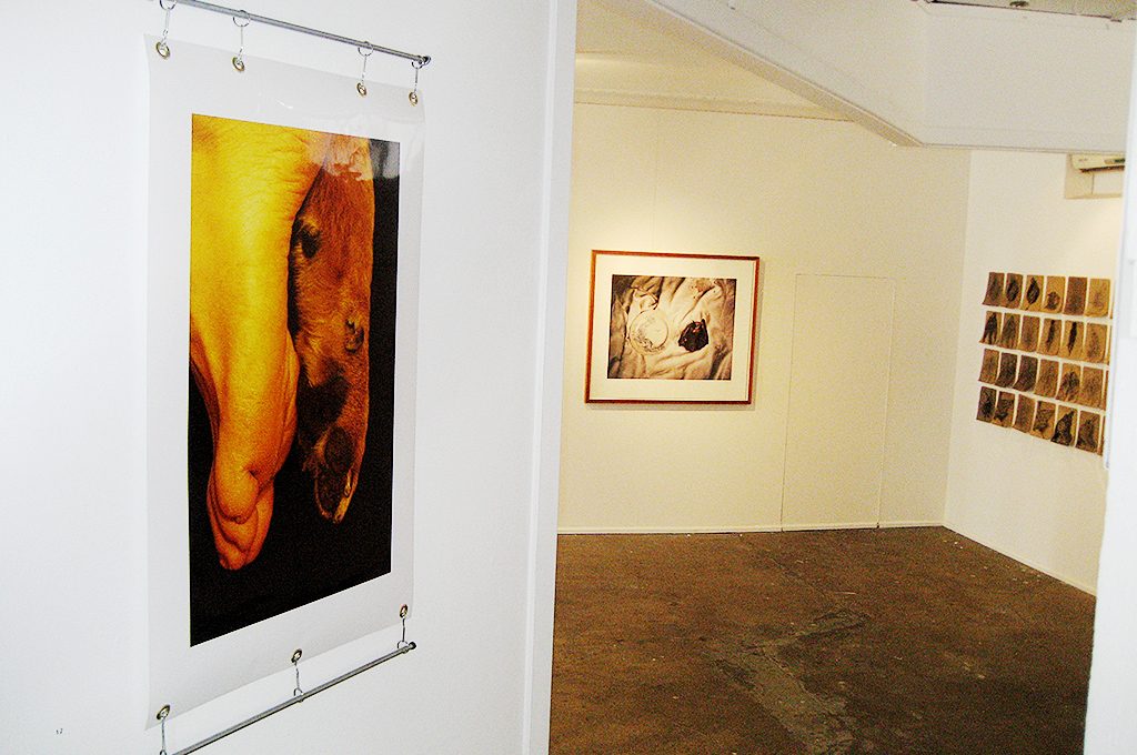 Photographic image of human and dog feet hanging in art gallery.