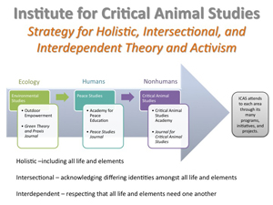 Institute of Critical Animal Studies Strategy
