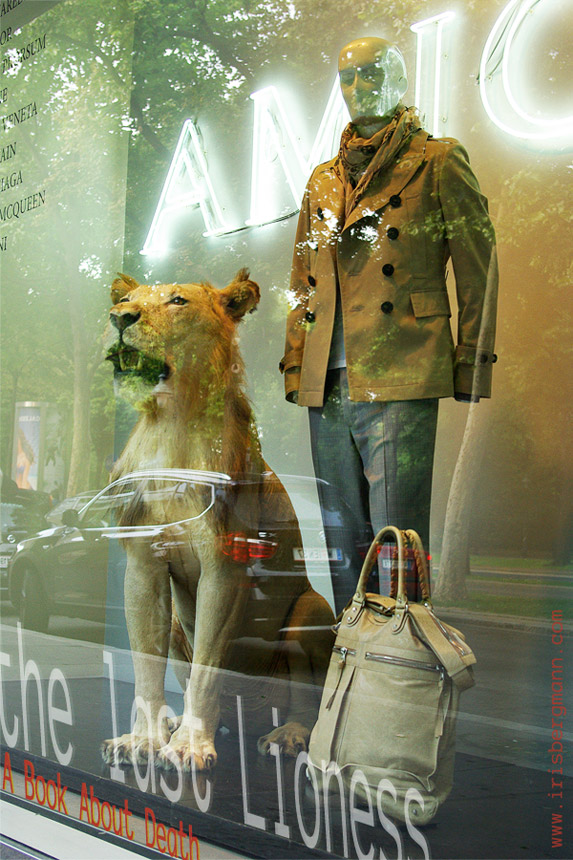 The Last Lioness. A Book about death. Photograph of two dummies - a lioness and a male mannequin with bags in safari colours, window display of a designer fashion store in Vienna, with reflections of the street, cars, advertising display.