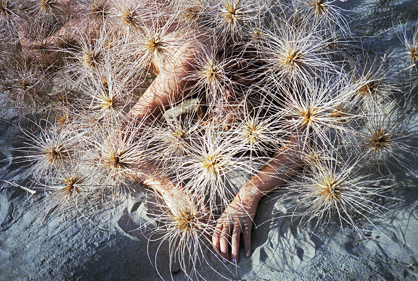 A naked figure lies on sand, covered with large spiky and straw-like plant material that is blow along the beach.